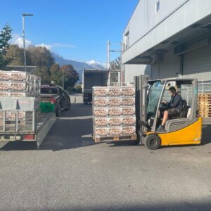 Forsttech Brennholz Schachtel Hartholz Anzündholz