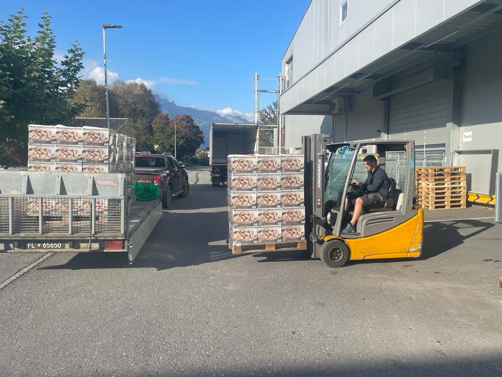 Forsttech Brennholz Schachtel Hartholz Anzündholz